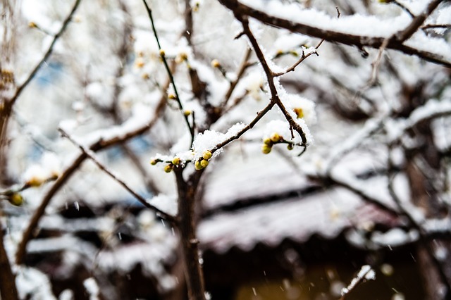 孙兴慜是否